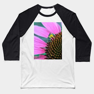 Busy Bee Baseball T-Shirt